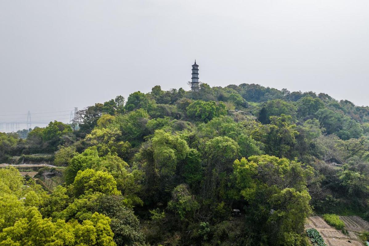 Taihe Wenfeng：从刘·鲍恩（Liu Bowen）到新的八次观看，观看了600年的文化背景