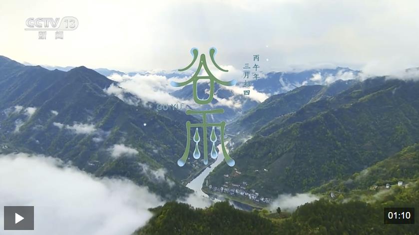 文化中国行丨二十四节气·谷雨